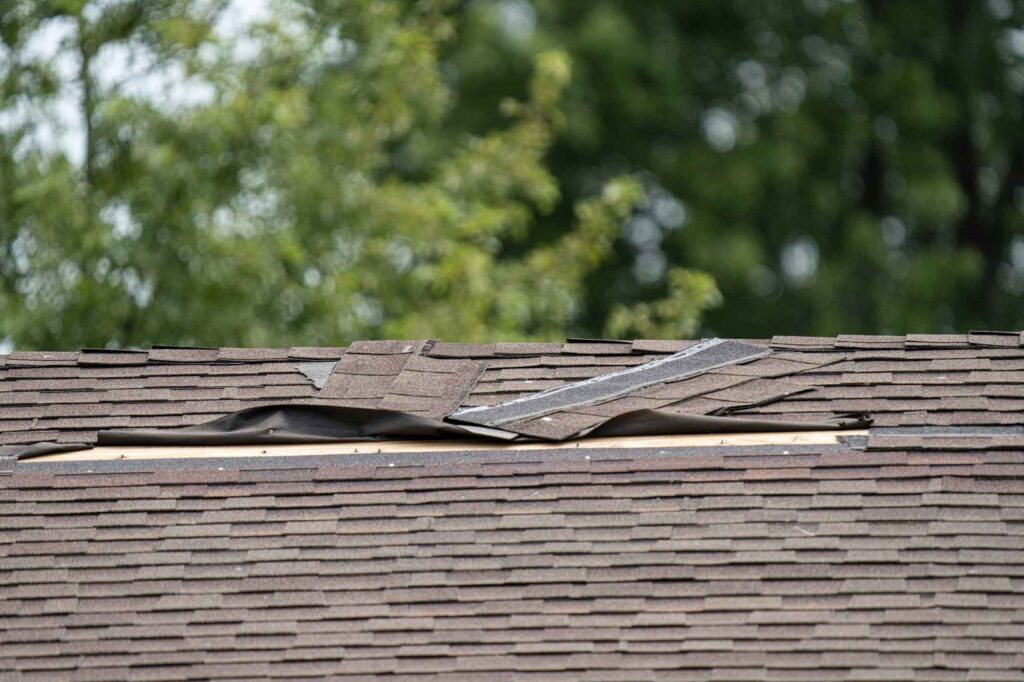 Signs Your Asphalt Shingle Roof Needs Summer Repair