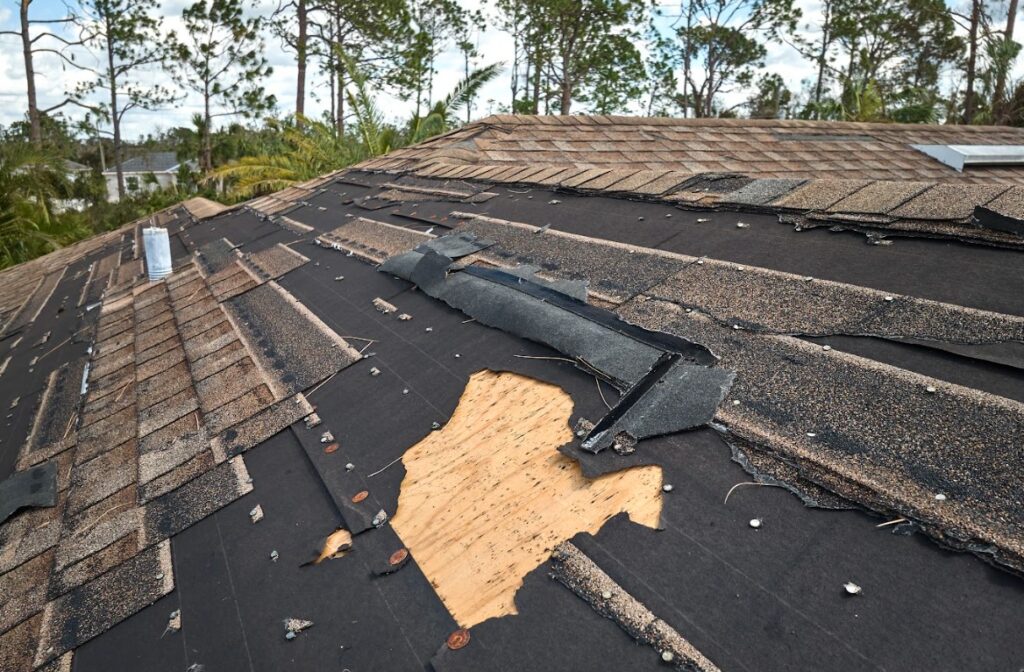 roof storm damage in Boaz, AL