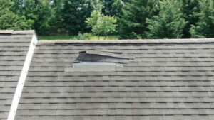 Roof Problem Expert in Alabama