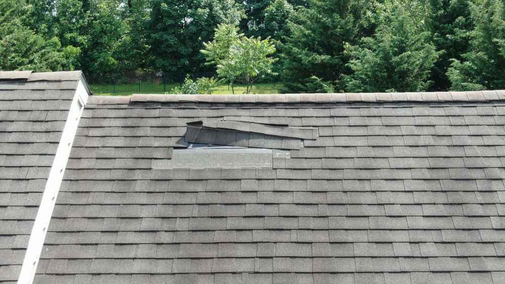 Roof Problem Expert in Alabama