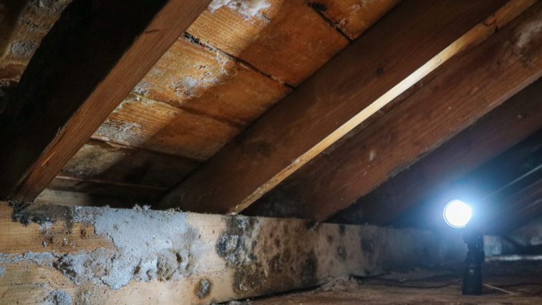 Attic Moisture Roofing Problem Expert in Huntsville