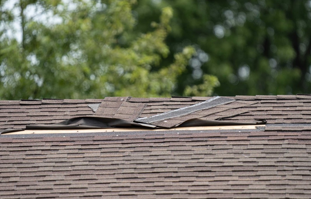 wind damage on asphalt shingle roofs